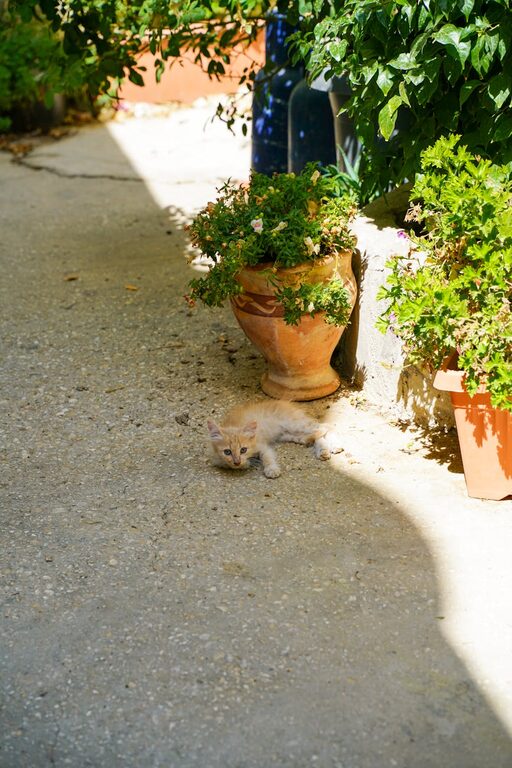 How to Sleep Better with a Simple Wind-Down Routine